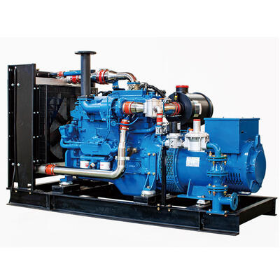 راه حل مقرون به صرفه ژنراتور گازسوز 300 کیلووات Weichai WP10D238E301NG
